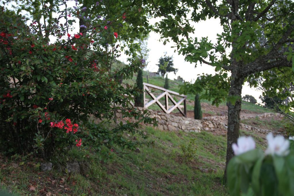 Camping Lamego Douro Valley Εξωτερικό φωτογραφία